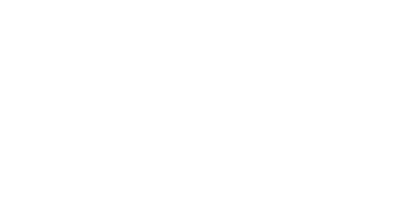 SHOELAXE